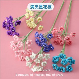 Crochet Flower Decor | LY-717231987863