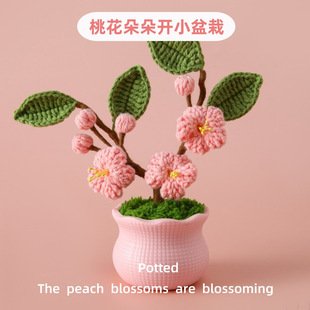 Crochet Flower Decor | LY-752227977717