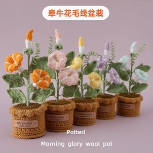 Crochet Flower Decor | LY-848288574174