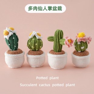 Crochet Flower Decor | LY-1067856075409